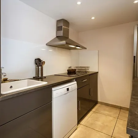 Duplex 6p, 12 Pers, 4*, Sud, Terrasse, Animaux Ok, Sauna, Proche Pistes Et Commerces - Fr-1-263-358 Valloire
